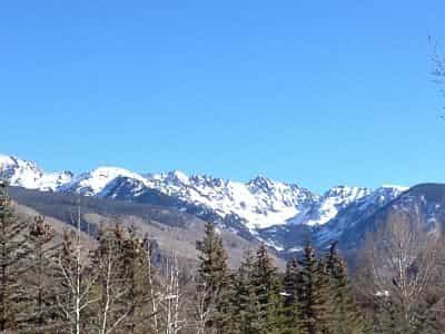 Ecosistema de pinos montañas y nieve que debemos proteger para evitar el calentamiento global